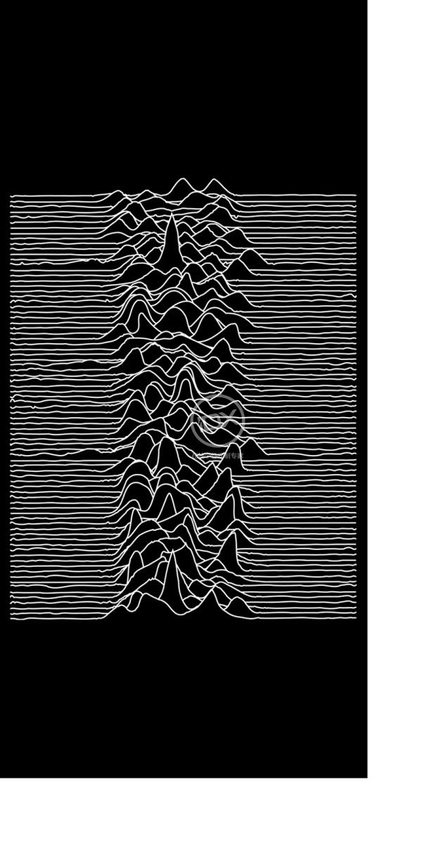 joy division